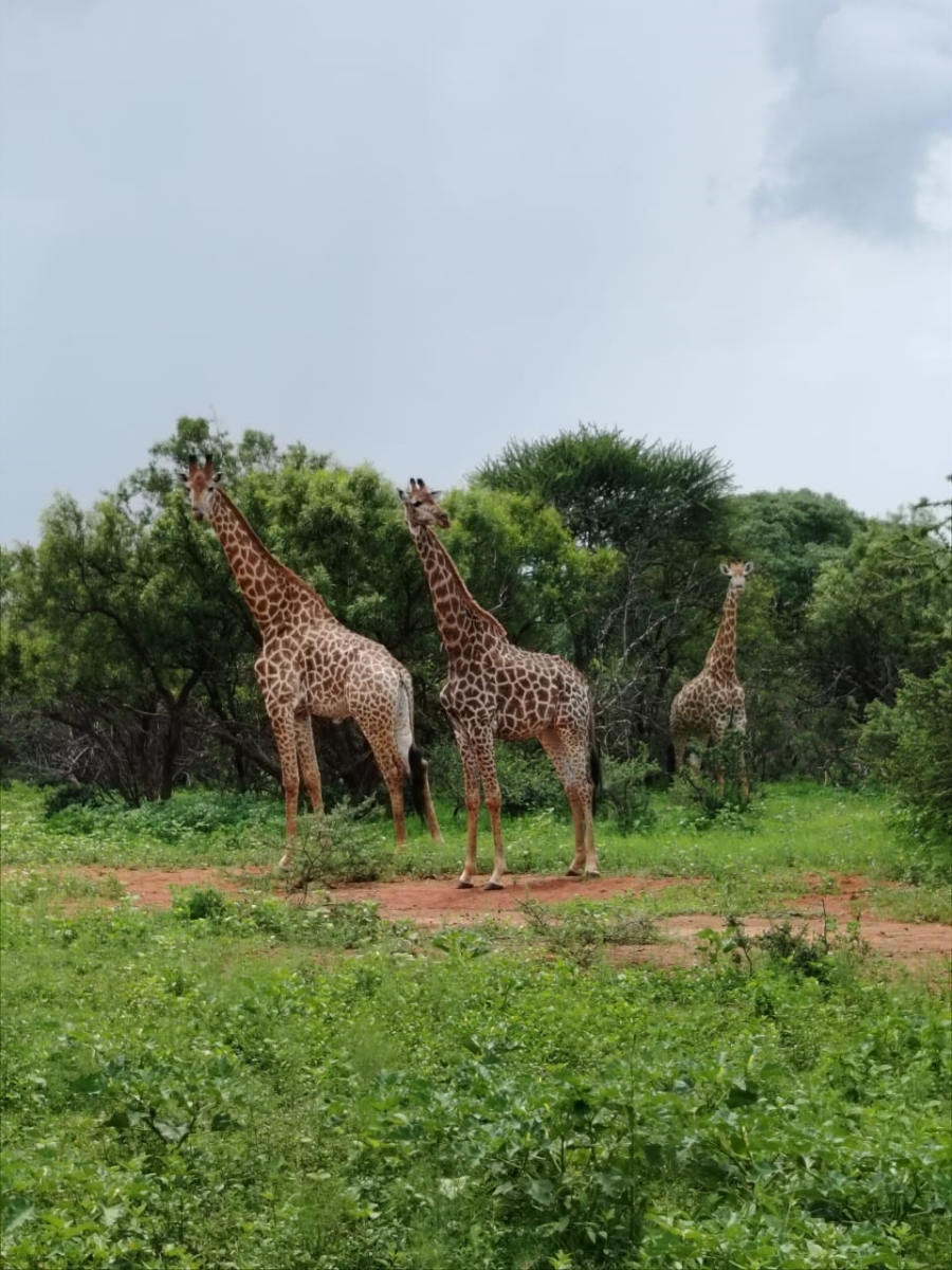 6 Bedroom Property for Sale in Zeerust North West